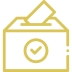 election-info-icon
